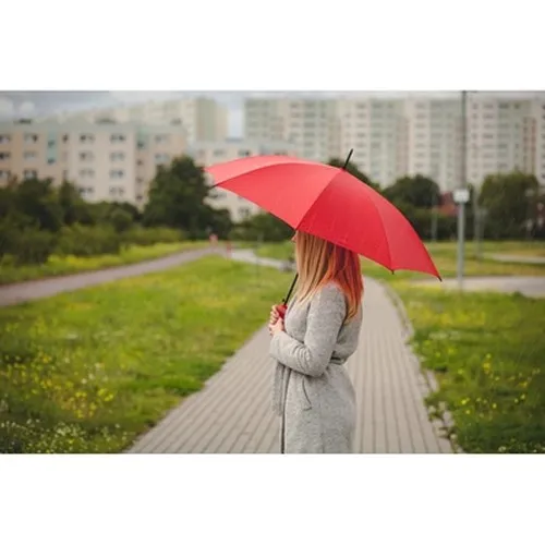 Parapluie automatique | Dwight