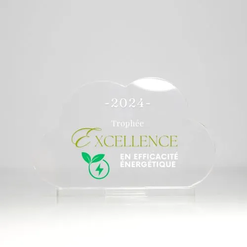Trophée en plexiglas NUAGE - France 3 mm