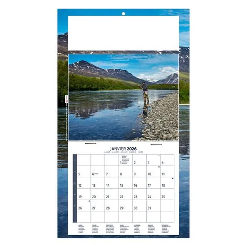 PLAQUE 1 VUE MAX 2026 - DOS CARTON - EURO BLOC - SANS MARQUAGE