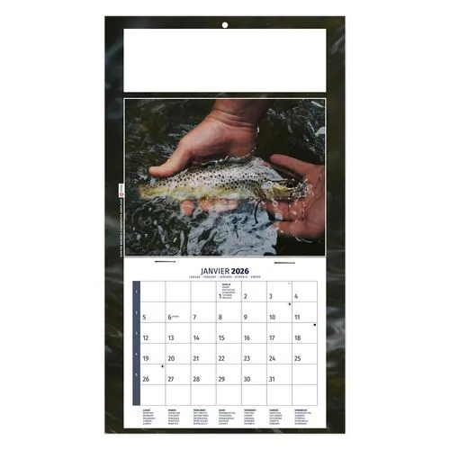 PLAQUE 1 VUE MAX 2026 - DOS CARTON - EURO BLOC - SANS MARQUAGE