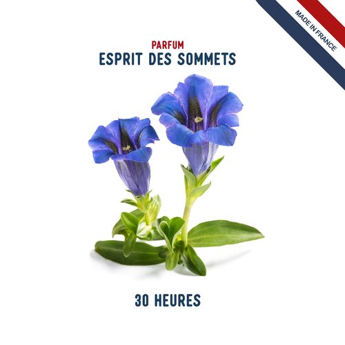 Bougie Parfumée Verre 140g - Fabrication Française Éco-Responsable