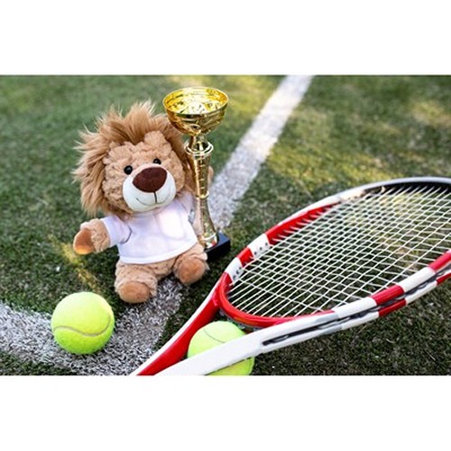 Lion en Peluche Personnalisable avec T-shirt Sérigraphié