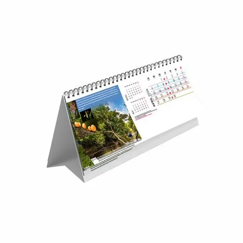 CHEVALET MAXI - CAYENNE 2026 - QUADRI