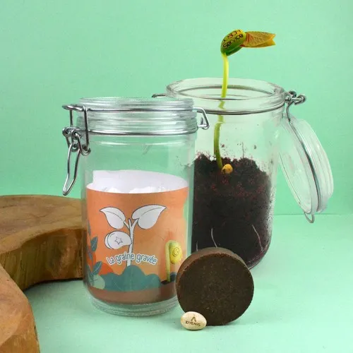 Graine de Haricot Gravée en Bocal Verre Personnalisable