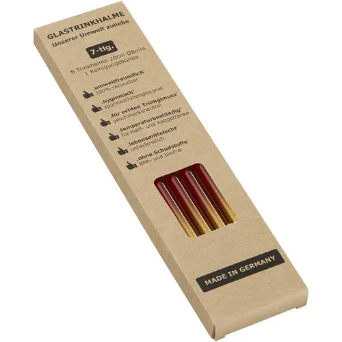 Set 6 Pailles en Verre Coloré Personnalisables avec Brosse de Nettoyage