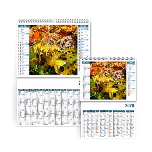 2EN1 - MIMETISME 2026 - XXL 474 x 700 mm - MARQUAGE 1 COULEUR