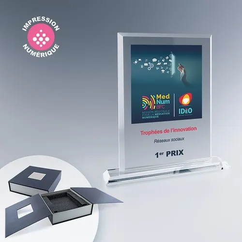 Trophée Rectangle en Verre Personnalisable - Fabrication Française