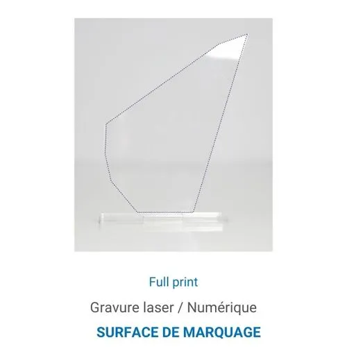 Trophée en plexiglas PICS - France 3 mm