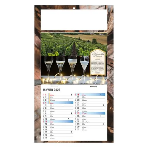 PLAQUE 1 VUE CORALIE 2026 - DOS CARTON - BLOC B2 - SANS MARQUAGE