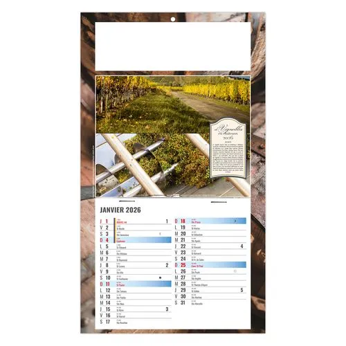 PLAQUE 1 VUE CORALIE 2026 - DOS CARTON - BLOC B2 - SANS MARQUAGE