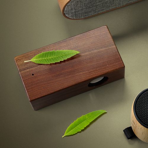 Enceinte Interactive en Bois WIRE 3W - Personnalisable