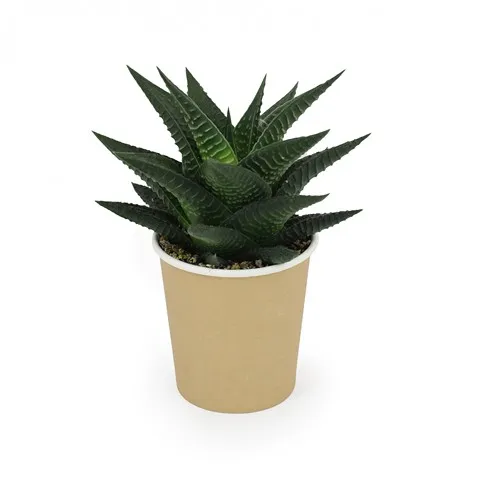 Station de Charge 10W avec Plante Dépolluante Personnalisable