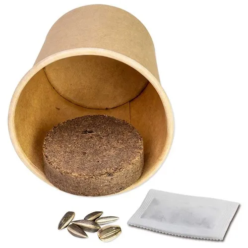 Cube créatif à planter - Myosotis personnalisable avec graines