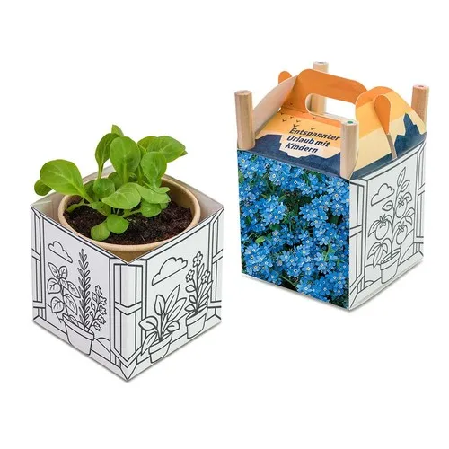 Cube créatif à planter - Myosotis personnalisable avec graines