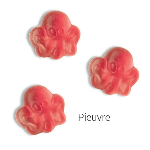 GOMMES DE FRUITS GELIFIES avec 10% de fruits dans votre forme spécifique