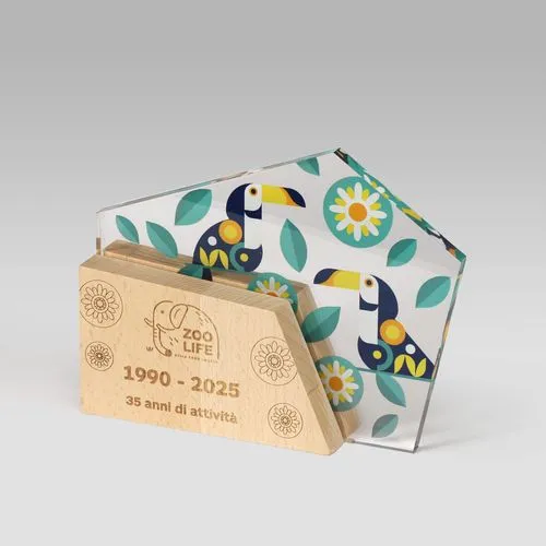 Trophée Plexiglass Écologique et MDF Personnalisable par Sérigraphie