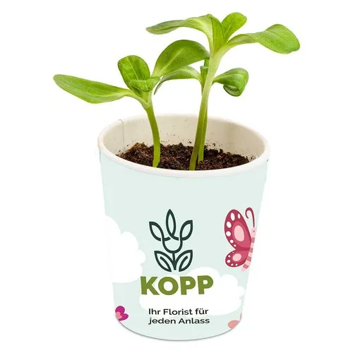 Prairie Fleurie Personnalisée en Pot Carton - Cadeau Écologique