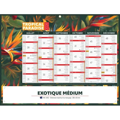 EXOTIQUE MEDIUM