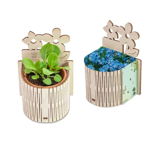 Mini-Jardin Myosotis Personnalisable - Cadeau d'Entreprise Écologique