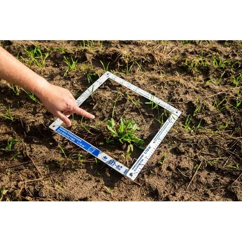 Cadre de comptage des mauvaises herbes FRAME STANDARD 1/10 m