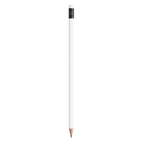 BIC®  Evolution® Classic Ecolutions® crayon