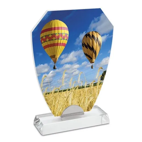 Trophée Verre Sublimation Personnalisable 190x150mm - Plaque Premium