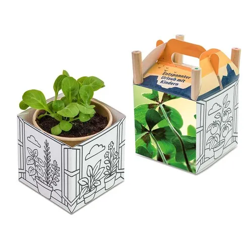 Cube créatif à planter - Bulbes trèfle 4 feuilles personnalisable