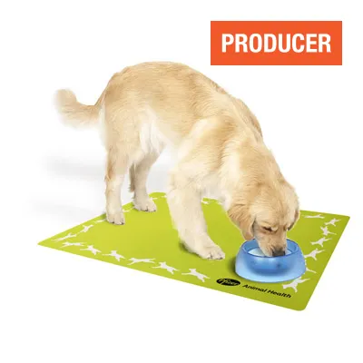Bol tapis personnalisé pour animaux - Fond antidérapant silicone