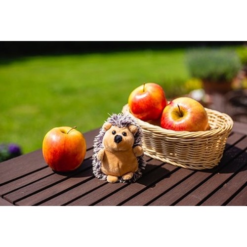 Hérisson en Peluche Personnalisable Spiky - Cadeau Publicitaire