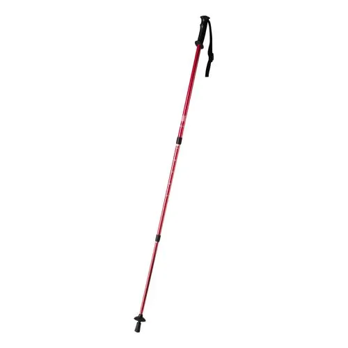 bâtons nordic walking Pulpit