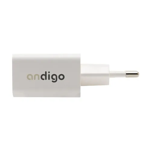 Grundig Wall Charger 230V fiche de charge