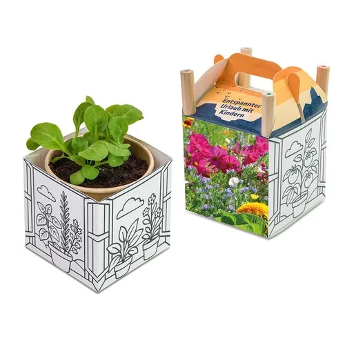 Cube créatif à planter - Tournesol personnalisable