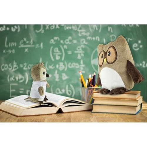 Peluche Hibou Porte-Clés avec T-Shirt Personnalisable