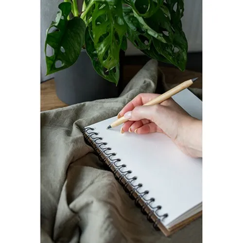 Stylo bille en bambou 2 en 1, crayon "infini" | Mikayla