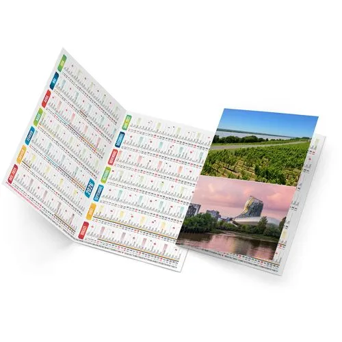 ARTHUR 2026 - NEUTRE 1 POSE