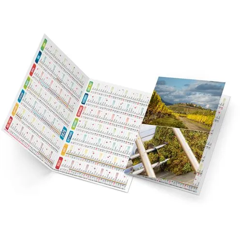 ARTHUR 2026 - NEUTRE 1 POSE