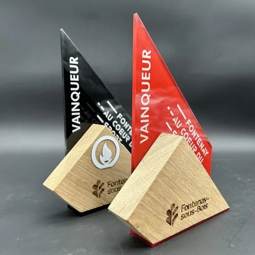 Trophée en plexi, modèle TRIANGLE PLEXI, 14cm