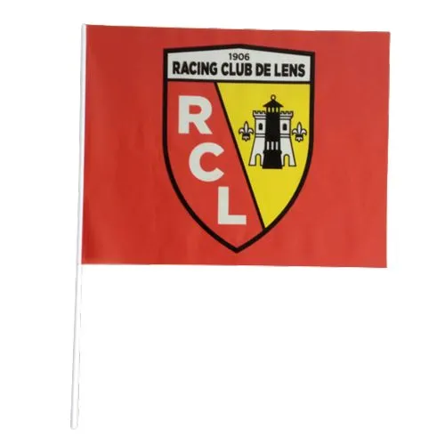 Drapeau Plastique Personnalisé sur Hampe - Sérigraphie Recto/Verso