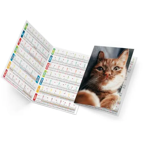 FELIX 2026 - NEUTRE 1 POSE