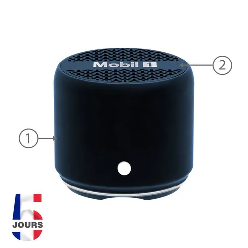 Enceinte sans fil Levo Bleu