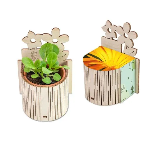 Mini-Jardin Publicitaire Souci en Pot Terre Cuite Personnalisable