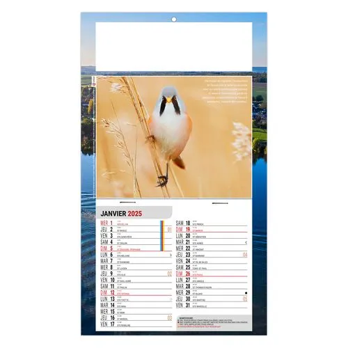 PLAQUE 1 VUE LEO 2026 - DOS CARTON - EURO BLOC - SANS MARQUAGE