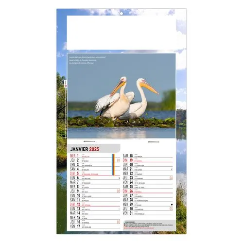 PLAQUE 1 VUE LEO 2026 - DOS CARTON - EURO BLOC - SANS MARQUAGE