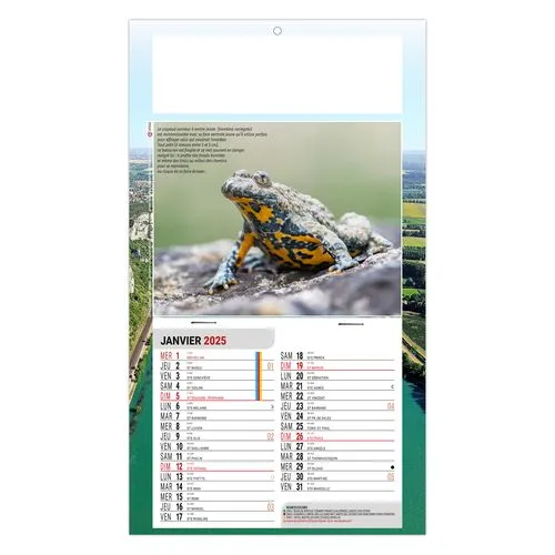 PLAQUE 1 VUE LEO 2026 - DOS CARTON - EURO BLOC - SANS MARQUAGE