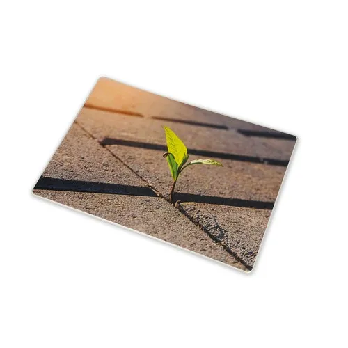 Tapis de Souris Publicitaire avec Calendrier Intégré 12 Mois