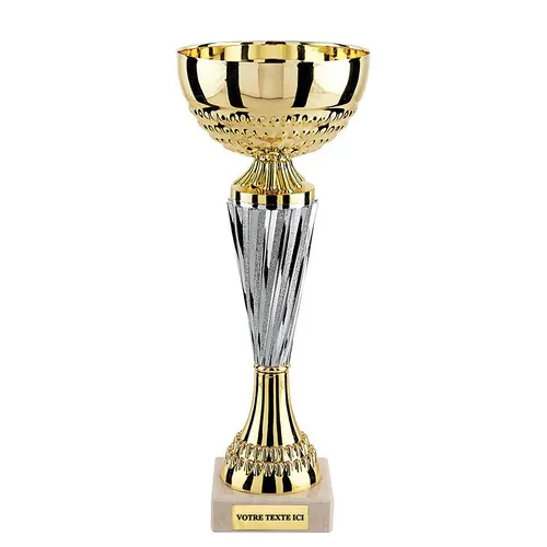 Coupe Or et Argent sur Socle Marbre - Trophée Personnalisable