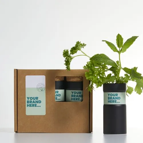 Kit Jardin de Bureau en Tube Aluminium - Lot de 3 avec Graines