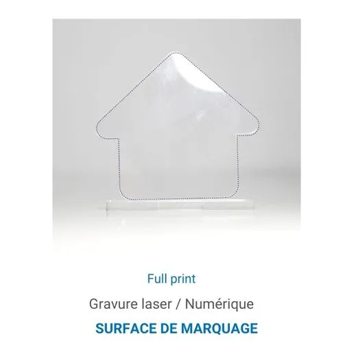 Trophée en plexiglas MAISON - France 3 mm