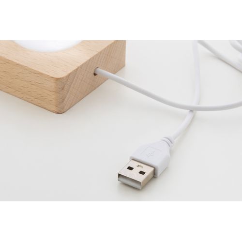 Globe lumineux de Noël Borealis