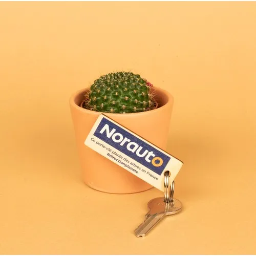 Porte-clés bois personnalisable forme libre - Fabrication française